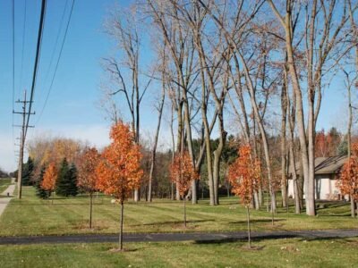 Charnwood Hills Neighborhood in Troy, Michigan